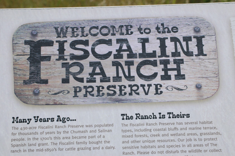 Upper Fiscalini Trail 001.jpg
